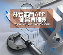 研发能力标题一